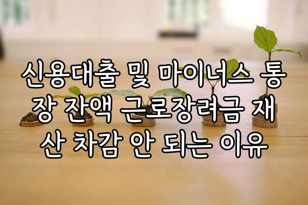 신용대출 및 마이너스 통장 잔액 근로장려금 재산 차감 안 되는 이유
