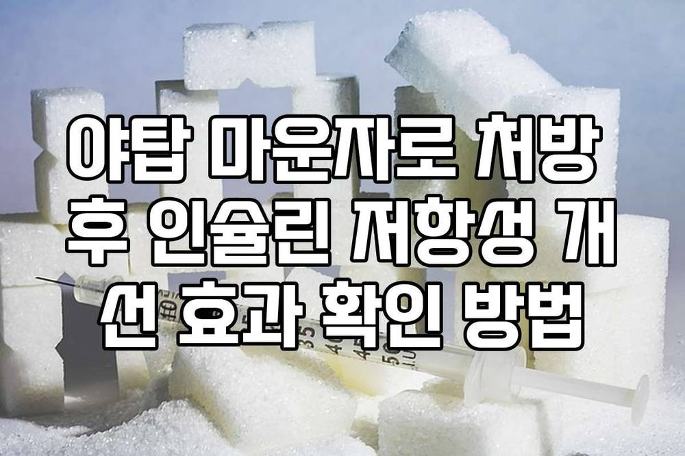 야탑 마운자로 처방 후 인슐린 저항성 개선 효과 확인 방법