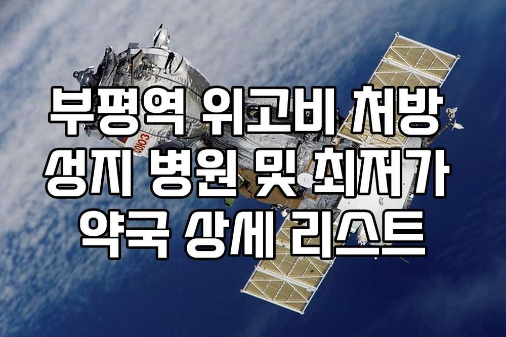 부평역 위고비 처방 성지 병원 및 최저가 약국 상세 리스트
