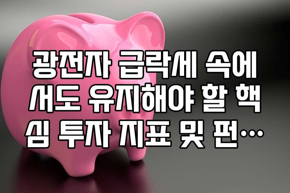 광전자 급락세 속에서도 유지해야 할 핵심 투자 지표 및 펀더멘털 점검