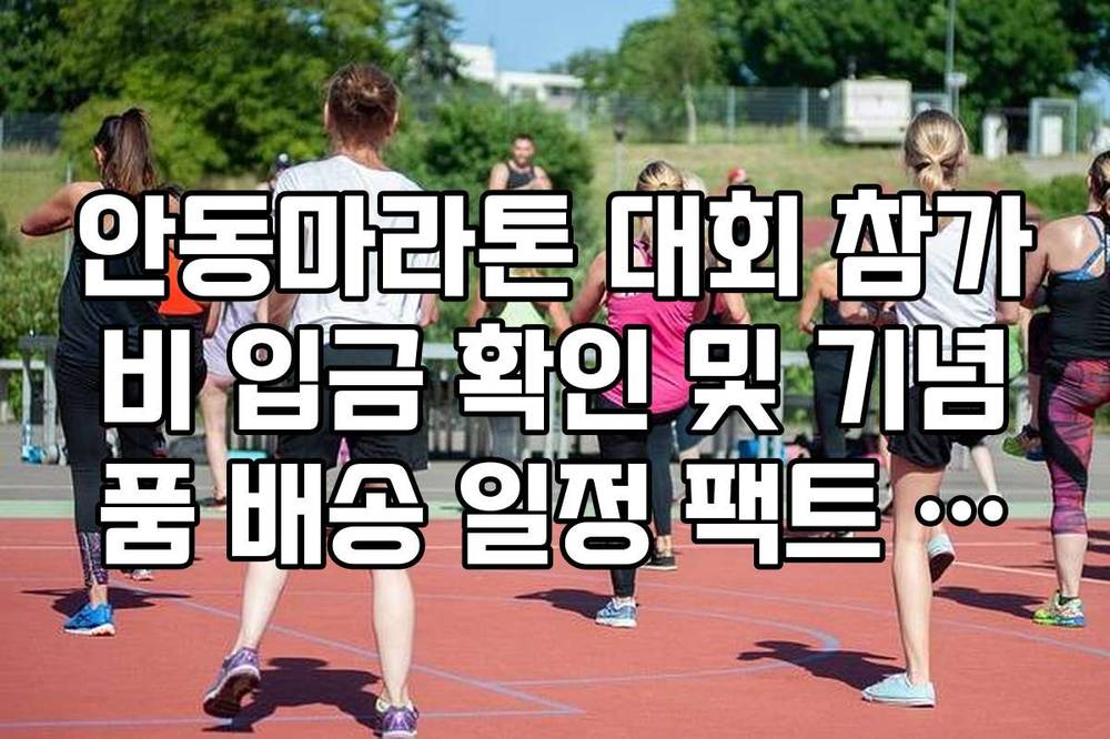 안동마라톤 대회 참가비 입금 확인 및 기념품 배송 일정 팩트 체크