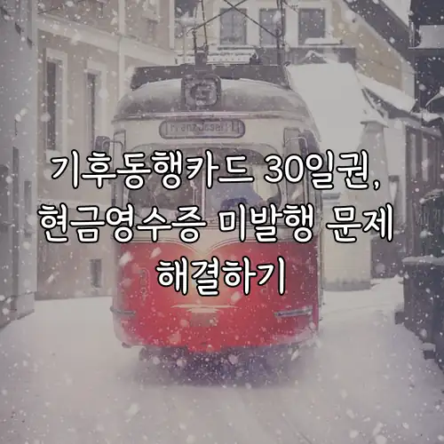 기후동행카드 30일권, 현금영수증 미발행 문제 해결하기