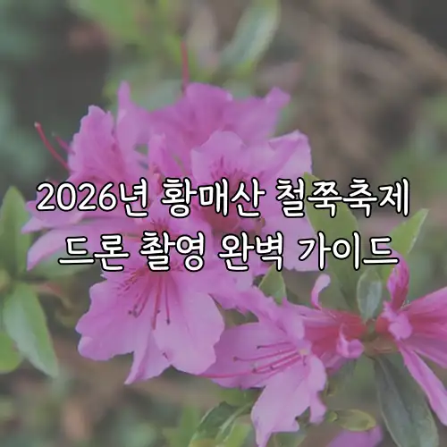 2026년 황매산 철쭉축제 드론 촬영 완벽 가이드