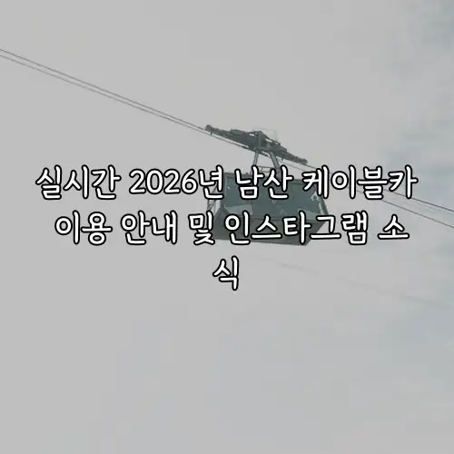 실시간 2026년 남산 케이블카 이용 안내 및 인스타그램 소식