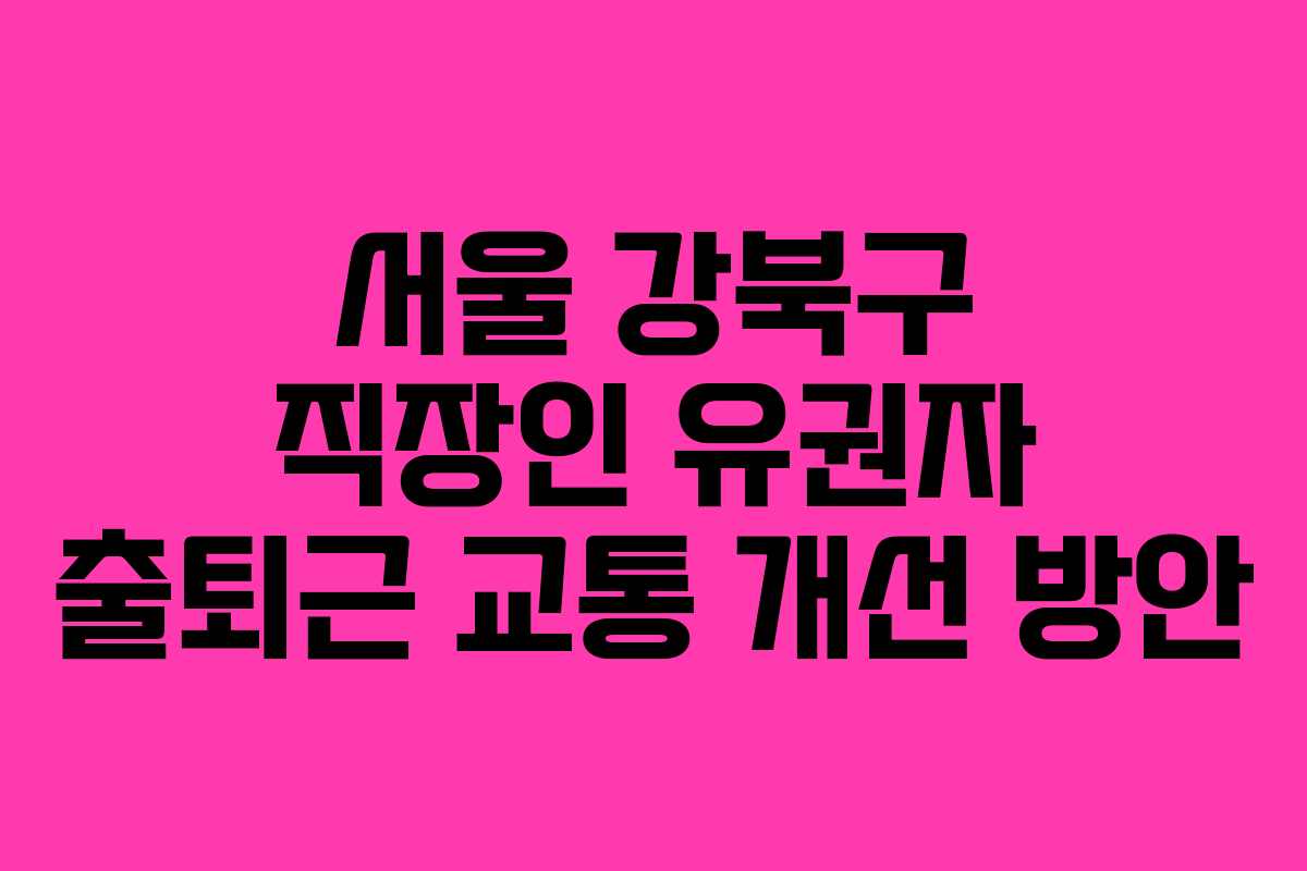 서울-강북구-직장인-유권자-출퇴근-교통-개선-방안